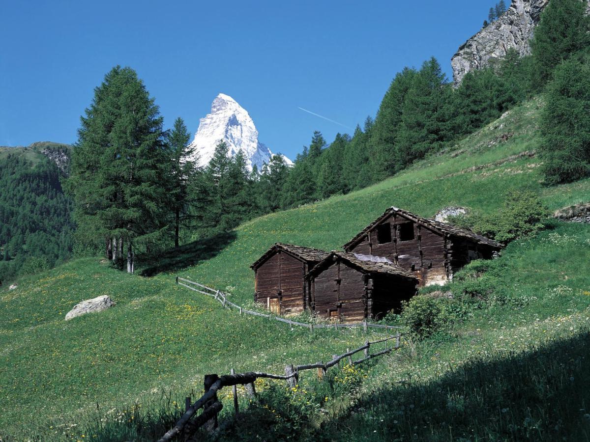 Apartment Grillon-3 By Interhome Zermatt Exterior photo